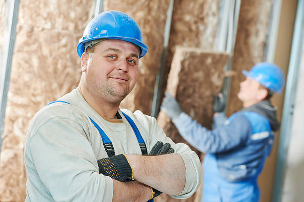 Best Geographic-Specific Insulation Services in Sun Valley, PA